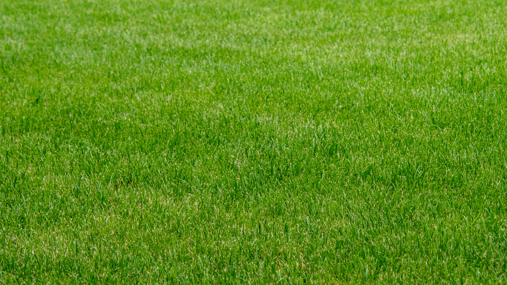 news image for: Nyheter