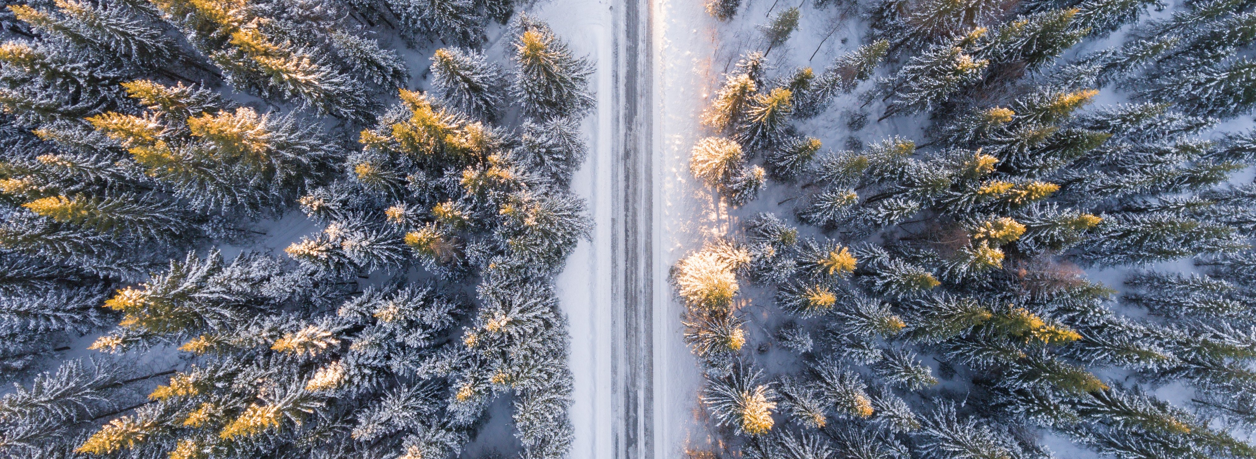 Översiktsbild på skogsväg. Snö ligger på marken.