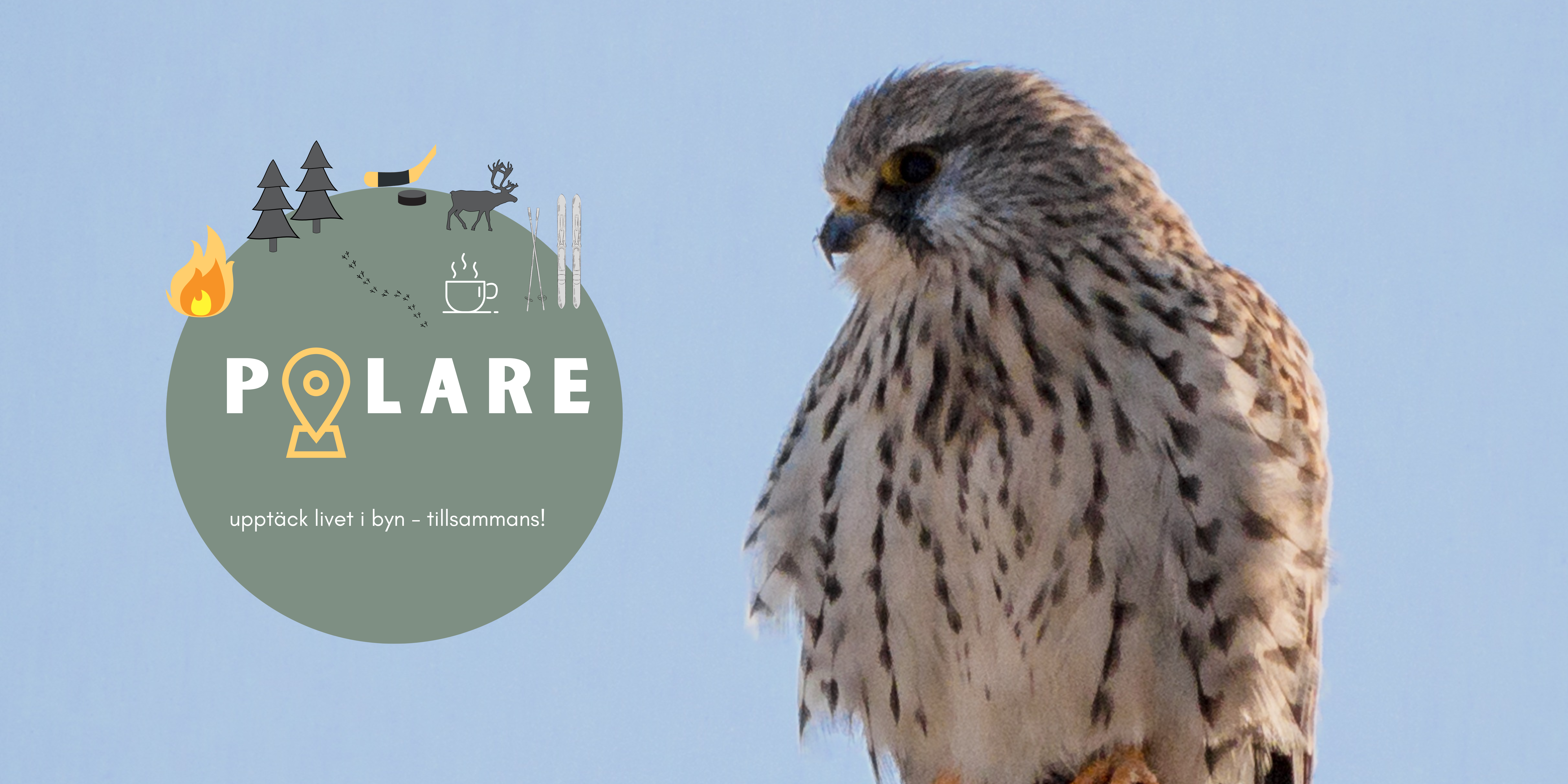 news image for: Nyheter